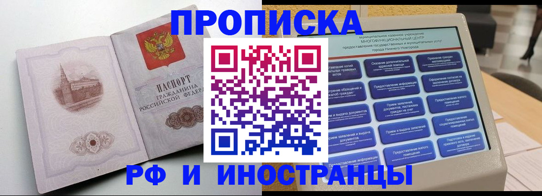 прописка поиск в Коле